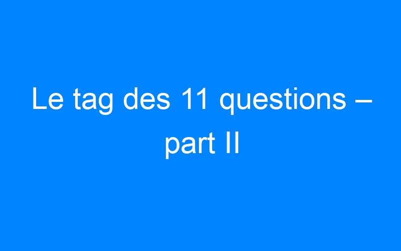You are currently viewing Le tag des 11 questions – part II