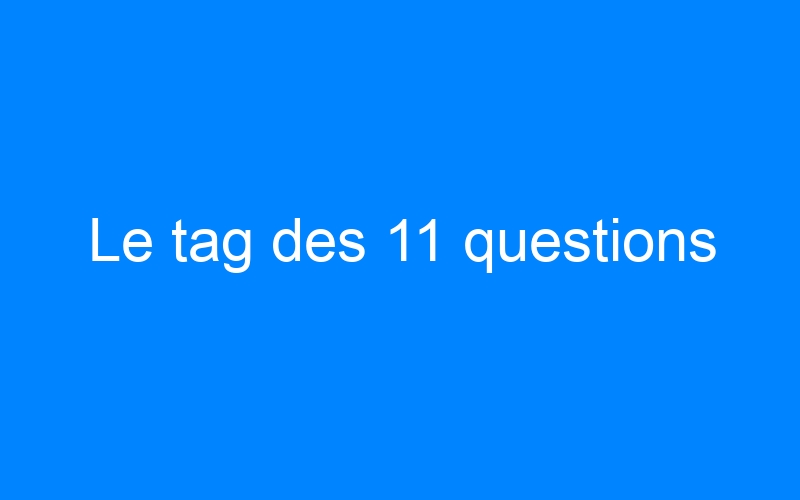 You are currently viewing Le tag des 11 questions