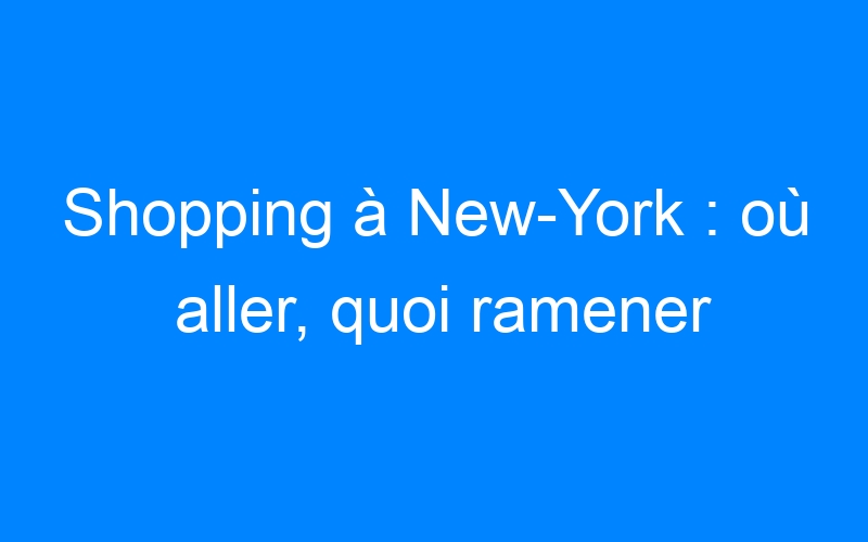 You are currently viewing Shopping à New-York : où aller, quoi ramener